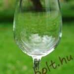 Rona Festival Borospohár 320ml