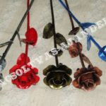 Vasrózsa Többféle Színben