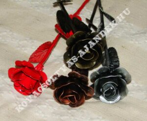 Vasrózsa Többféle Színben